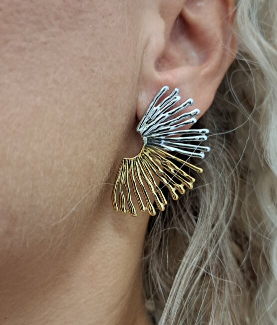 Karfwta-skoularikia-dixrwma-De-Zon