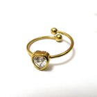 Asimi-chevalier-kardia-krystallo